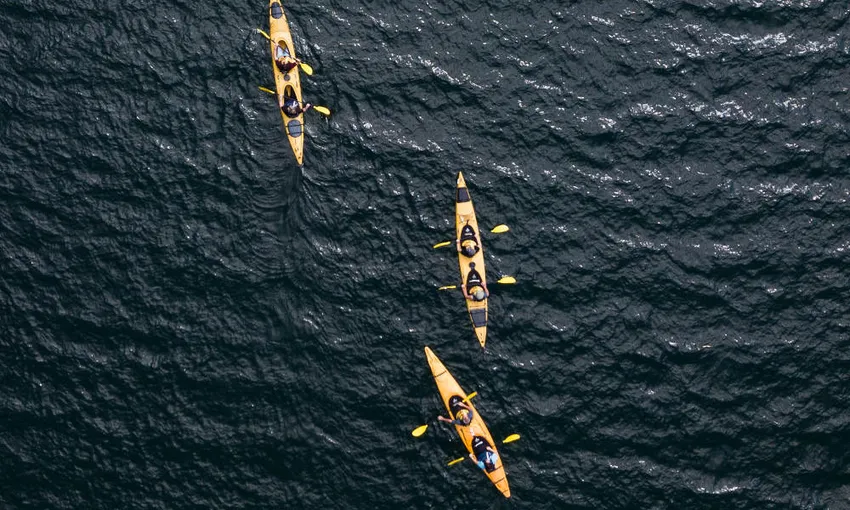 Rotorua Evening Starlight Kayak Tour with Glowworms | Experience Oz
