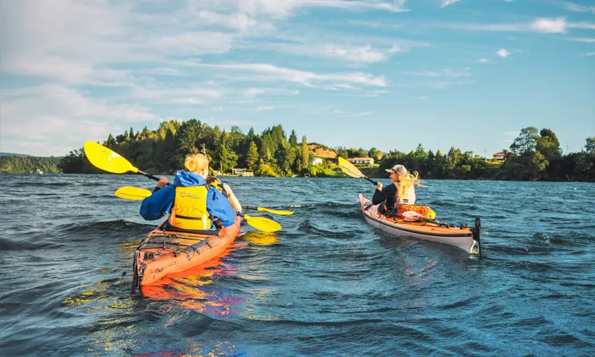 Rotorua Evening Starlight Kayak Tour with Glowworms | Experience Oz