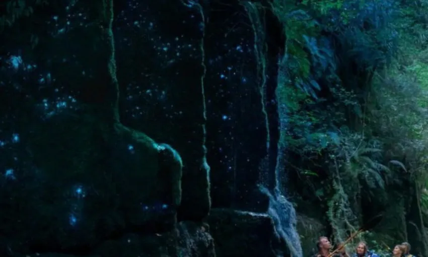 Rotorua Evening Big Kanu Starlight Tour With Glowworms | Experience Oz
