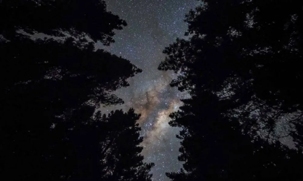 Rotorua Evening Big Kanu Starlight Tour With Glowworms | Experience Oz-2