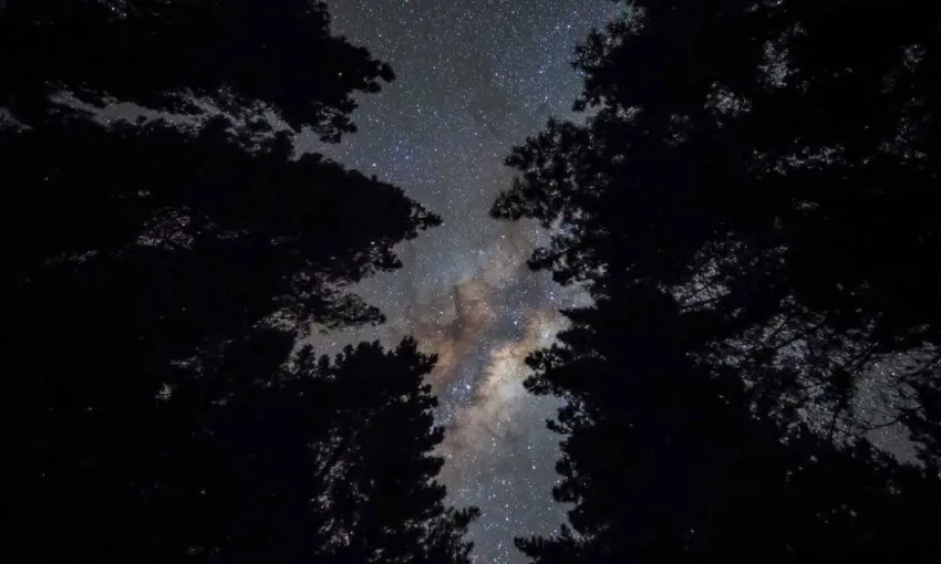 Rotorua Evening Big Kanu Starlight Tour With Glowworms | Experience Oz