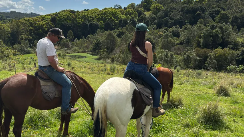 Byron Bay Trail Horse Riding - Book Now | Experience Oz