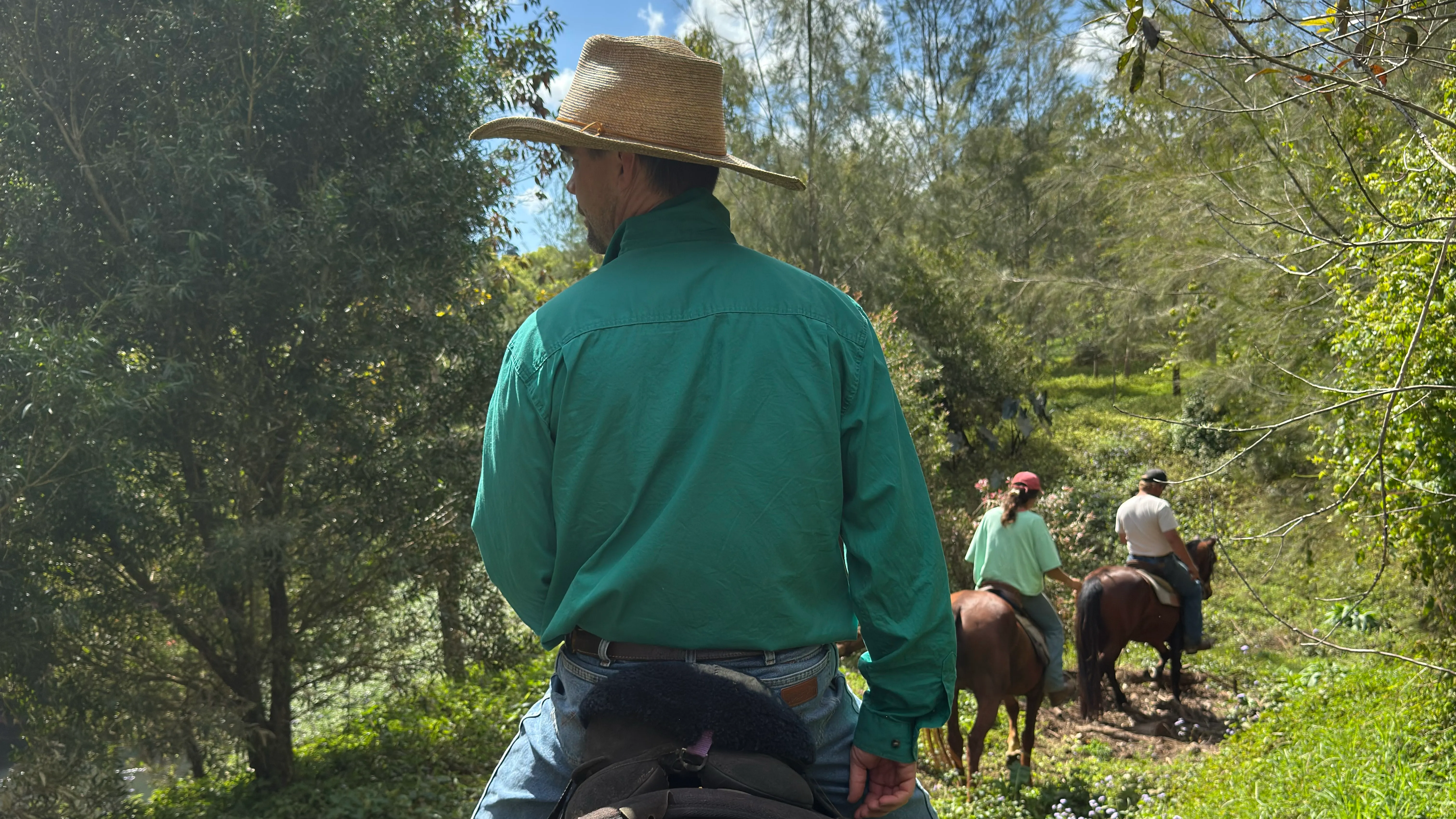 Byron Bay Trail Horse Riding - Book Now | Experience Oz-3