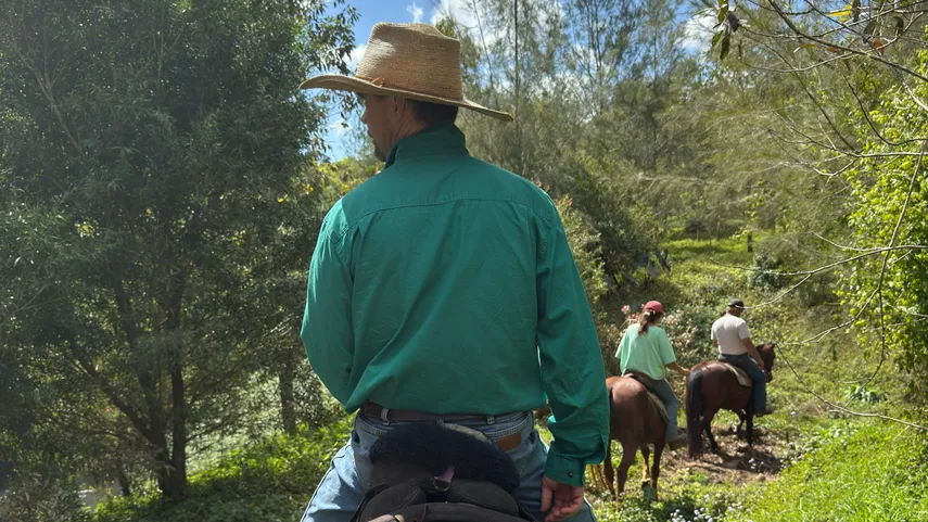 Byron Bay Trail Horse Riding - Book Now | Experience Oz