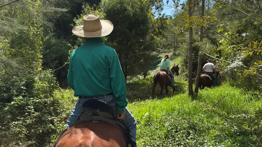 Byron Bay Trail Horse Riding - Book Now | Experience Oz