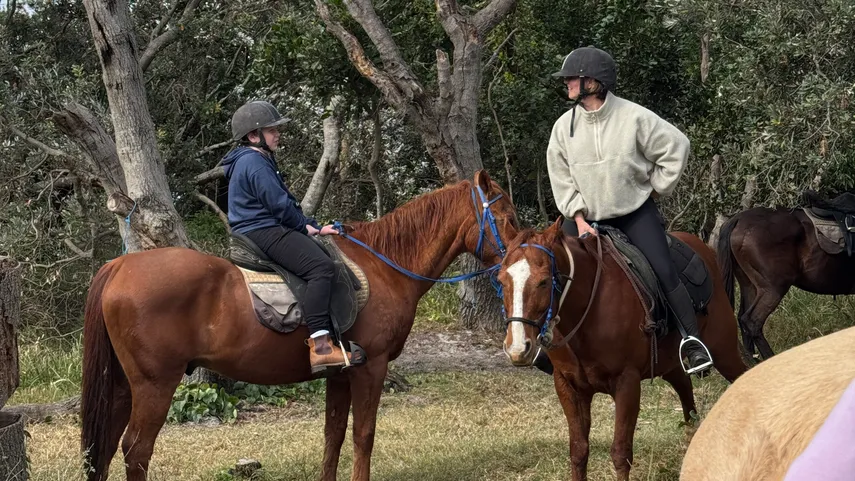 Byron Bay Trail Horse Riding - Book Now | Experience Oz