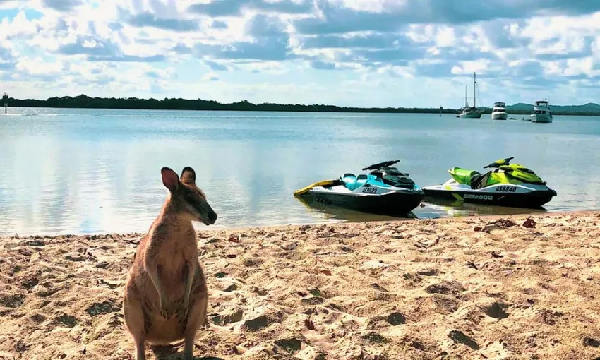 Gold Coast Jet Ski Safari - 90 Minutes - Book Now | Experience Oz