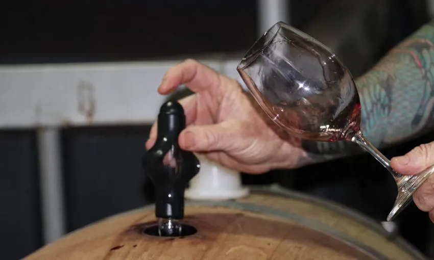 Margaret River Winery Tour & VIP Tasting - Book Now | Experience Oz