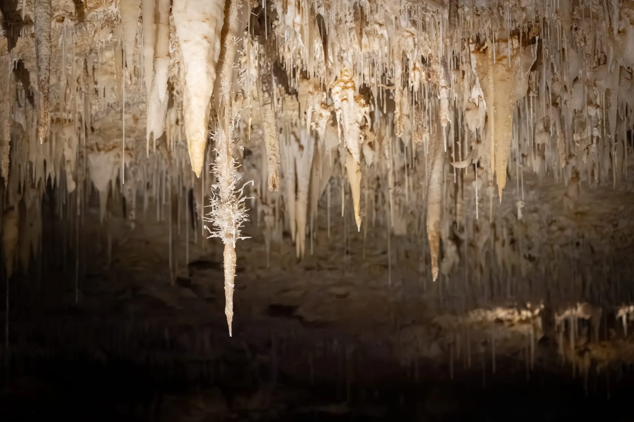 Guided Jewel Cave Margaret River Tour - Book Now | Experience Oz-4