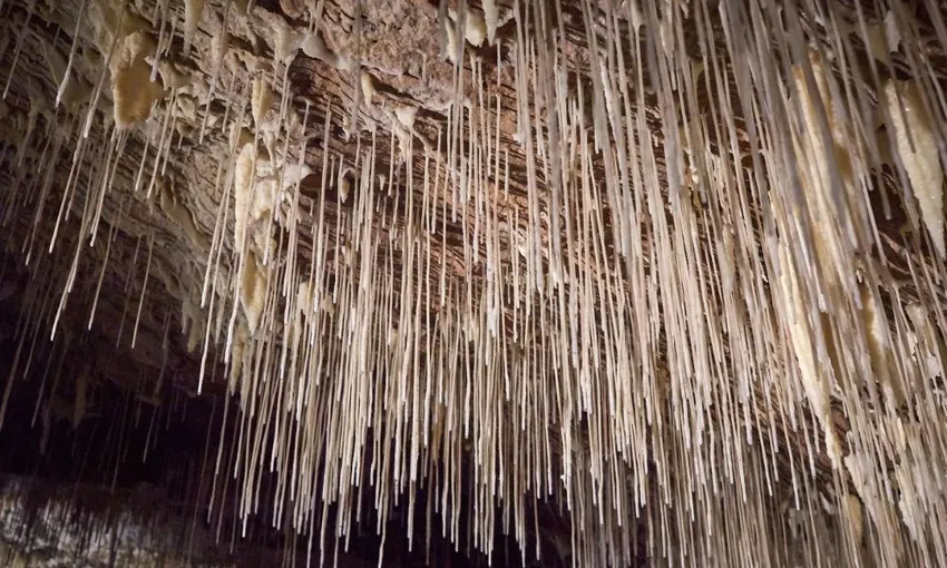 Guided Lake Cave Margaret River Tour - Book Now | Experience Oz