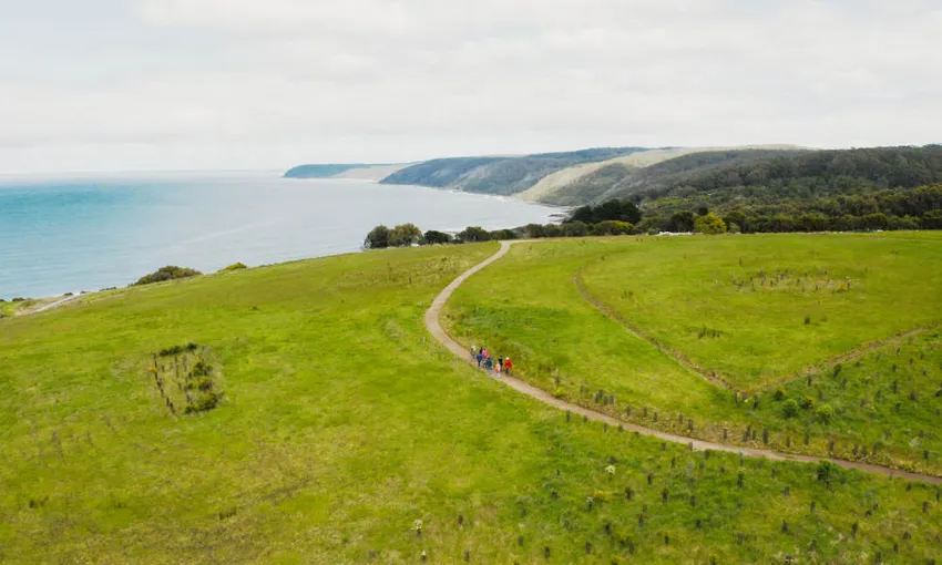75 Minute Great Ocean Road Walk - Book Now | Experience Oz