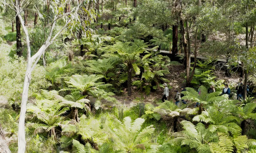 75 Minute Great Ocean Road Walk - Book Now | Experience Oz