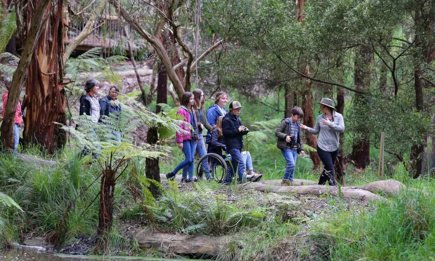 75 Minute Great Ocean Road Walk - Book Now | Experience Oz