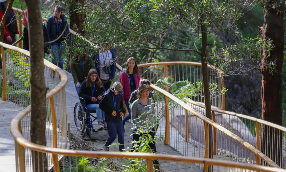 75 Minute Great Ocean Road Walk - Book Now | Experience Oz-4