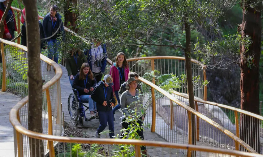 75 Minute Great Ocean Road Walk - Book Now | Experience Oz
