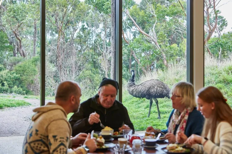 75 Minute Great Ocean Road Walk - Book Now | Experience Oz