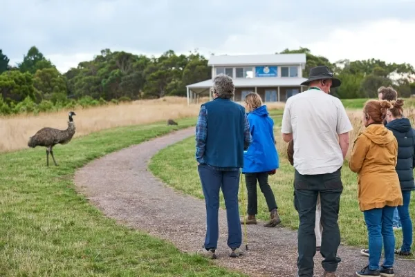 75 Minute Great Ocean Road Walk - Book Now | Experience Oz