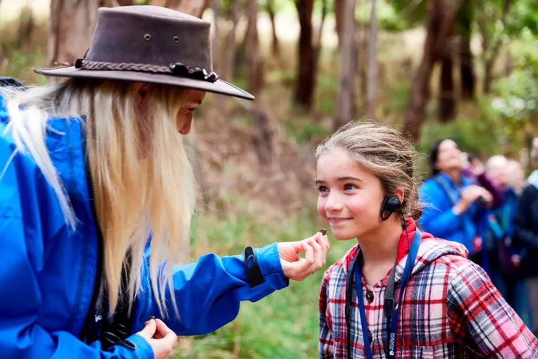 75 Minute Great Ocean Road Walk - Book Now | Experience Oz