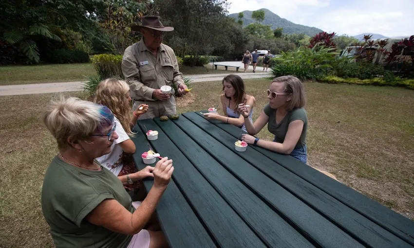 Daintree Rainforest and Cape Tribulation Small Group Tour | Experience Oz
