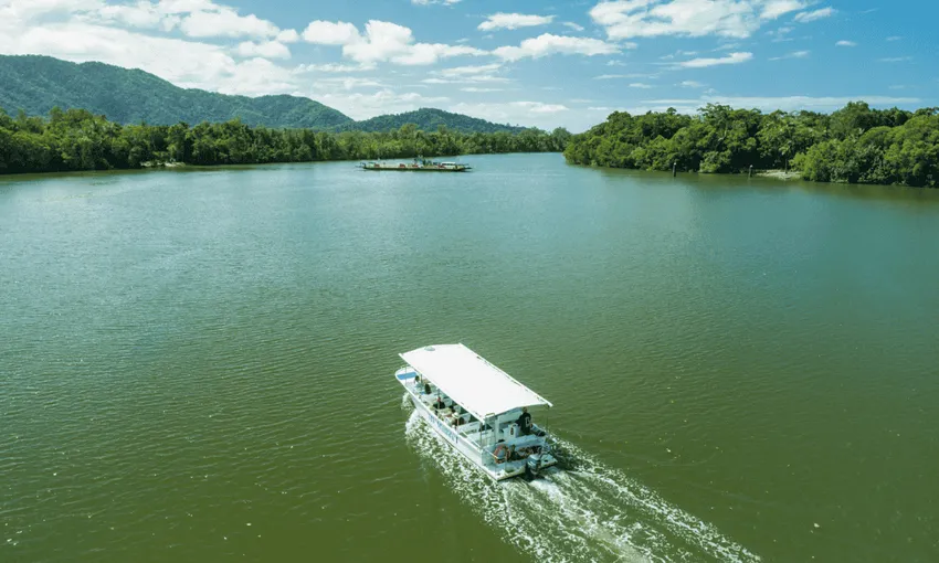 Daintree Rainforest and Cape Tribulation Small Group Tour | Experience Oz
