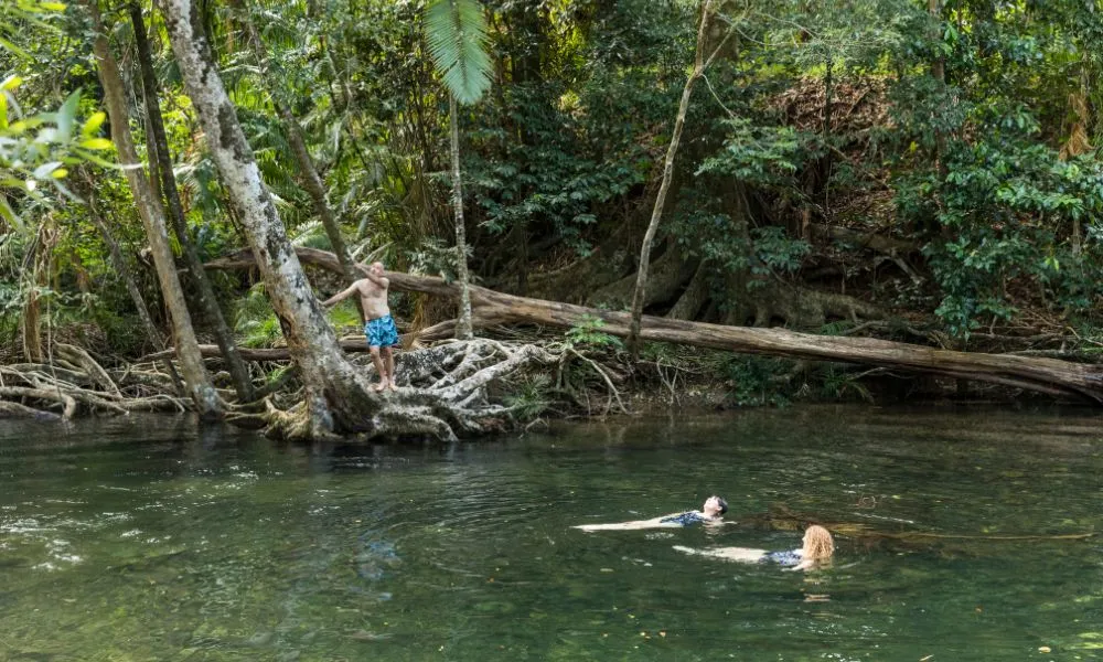 Daintree Rainforest and Cape Tribulation Small Group Tour | Experience Oz-4