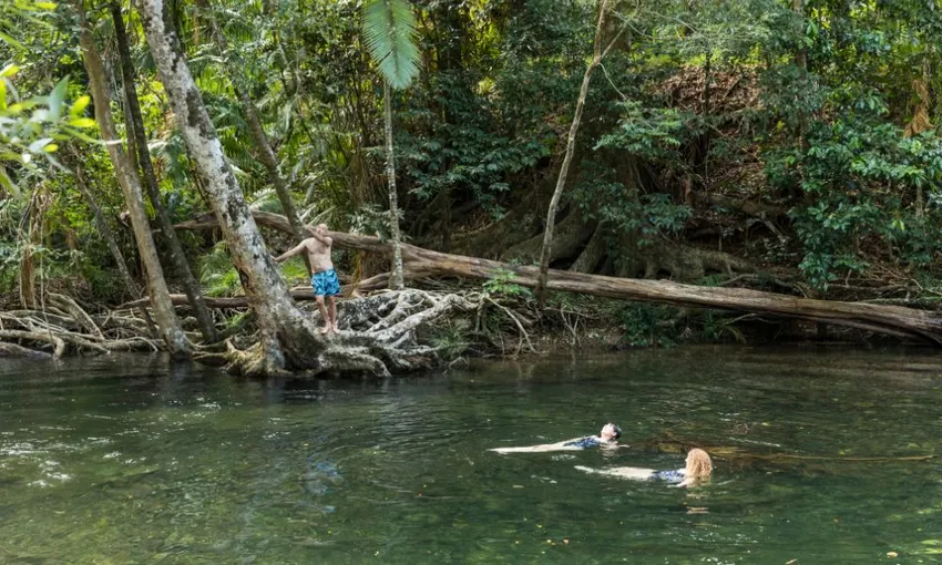 Daintree Rainforest and Cape Tribulation Small Group Tour | Experience Oz