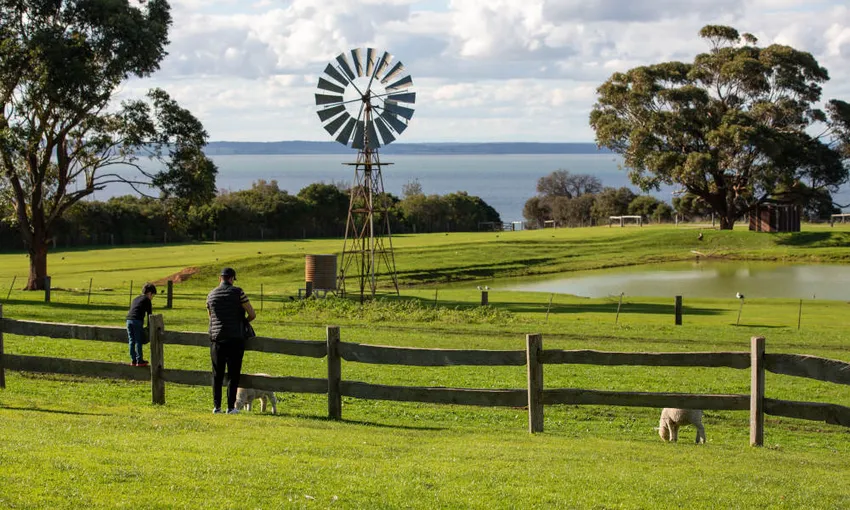 Phillip Island Nature Parks Multi Park Pass - Buy Now | Experience Oz