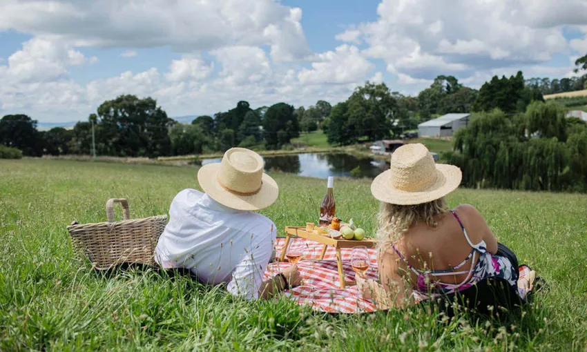 Printhie Wines Gourmet Picnic - Book Now | Experience Oz