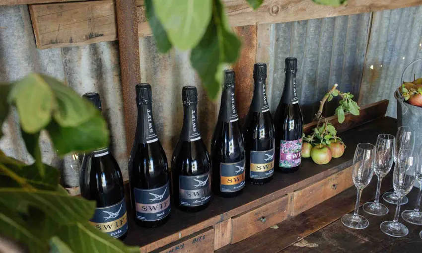 Printhie Wines Gourmet Picnic - Book Now | Experience Oz
