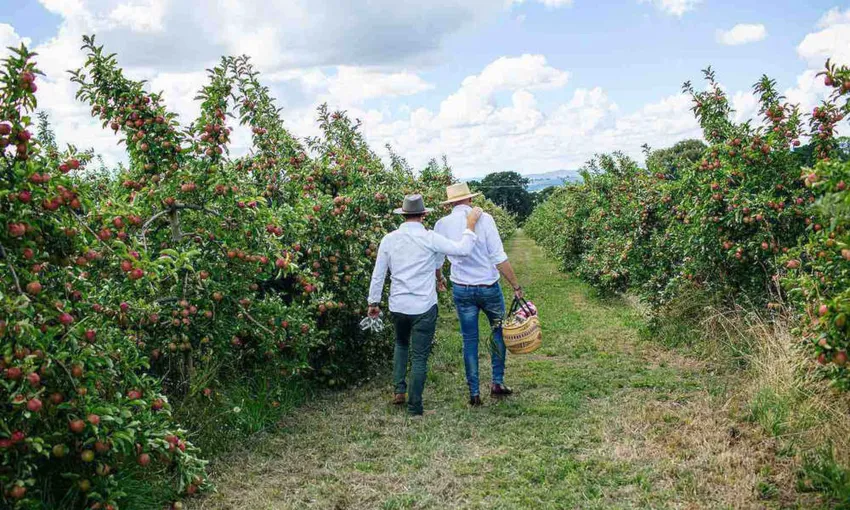 Printhie Wines Gourmet Picnic - Book Now | Experience Oz