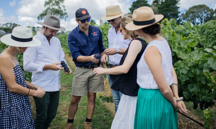Printhie Wines Sparkling Masterclass - Book Now | Experience Oz