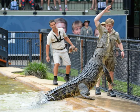 Australia Zoo Tickets with BONUS Wildlife Hospital Entry