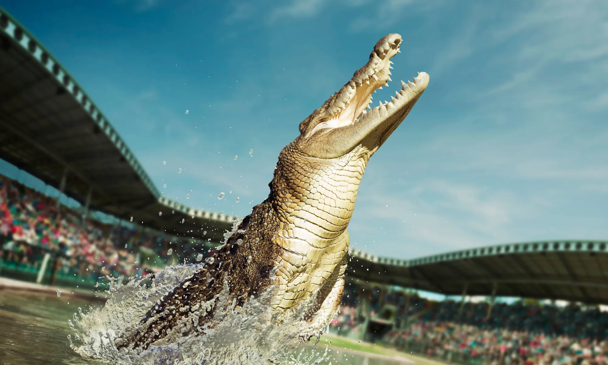 Australia Zoo Tickets with Wildlife Hospital Entry | Experience Oz-11