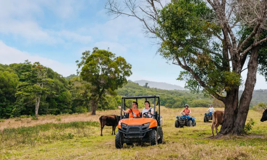 Cairns ATV Tour & Petting Zoo Entry - Book Now | Experience Oz