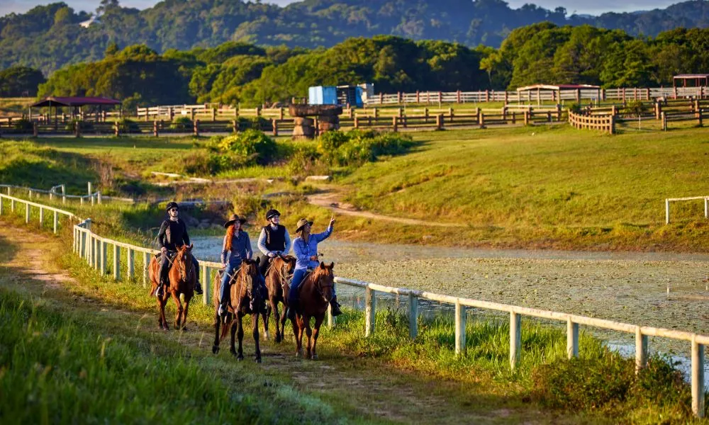 Horse Riding & ATV Tour with Petting Zoo Entry - Book Now | Experience Oz-1