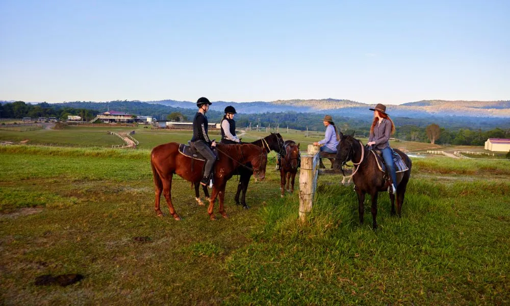 Horse Riding & ATV Tour with Petting Zoo Entry - Book Now | Experience Oz-3
