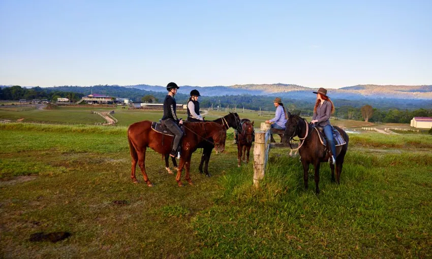 Horse Riding & ATV Tour with Petting Zoo Entry - Book Now | Experience Oz
