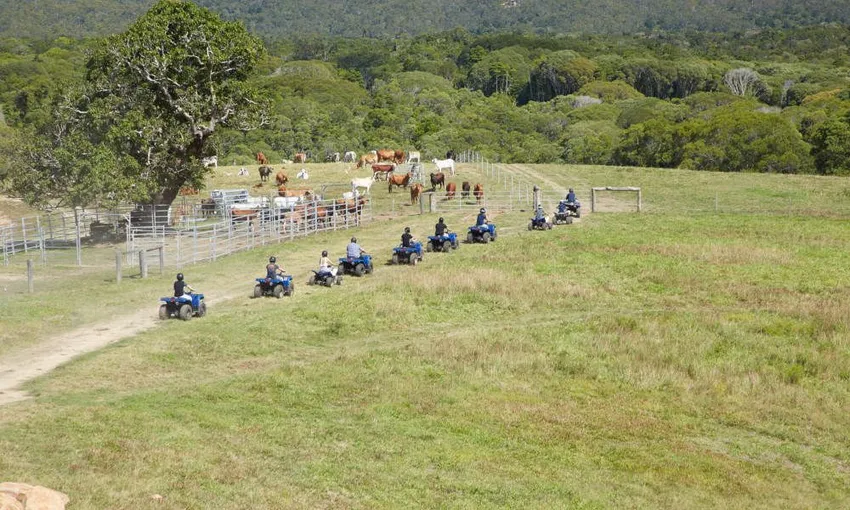 Horse Riding & ATV Tour with Petting Zoo Entry - Book Now | Experience Oz