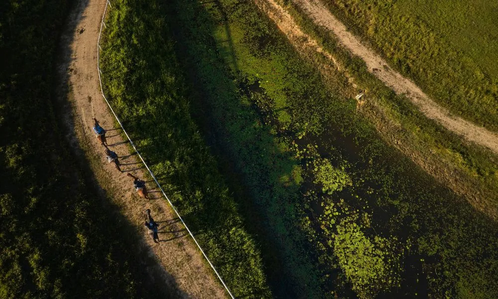 Horse Riding & ATV Tour with Petting Zoo Entry - Book Now | Experience Oz-9