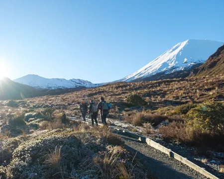 Half Day Tongariro Alpine Guided Group Walk
