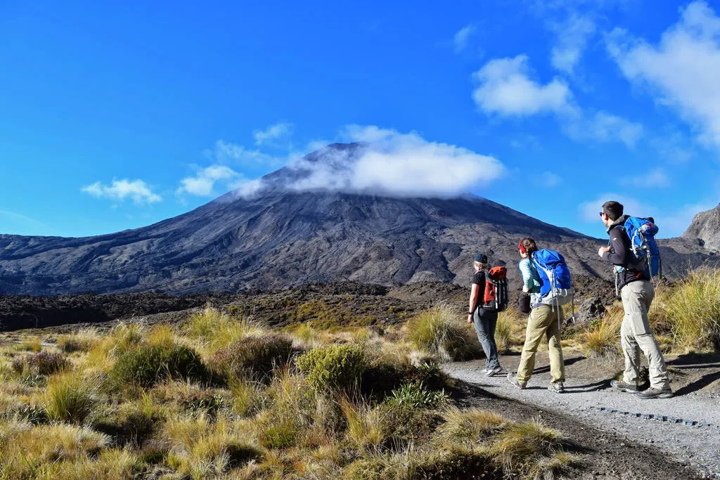 Half Day Tongariro Alpine Guided Group Walk-2