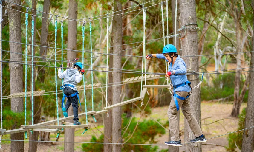 Southern Adventure Hub Experience - Book Now | Experience Oz