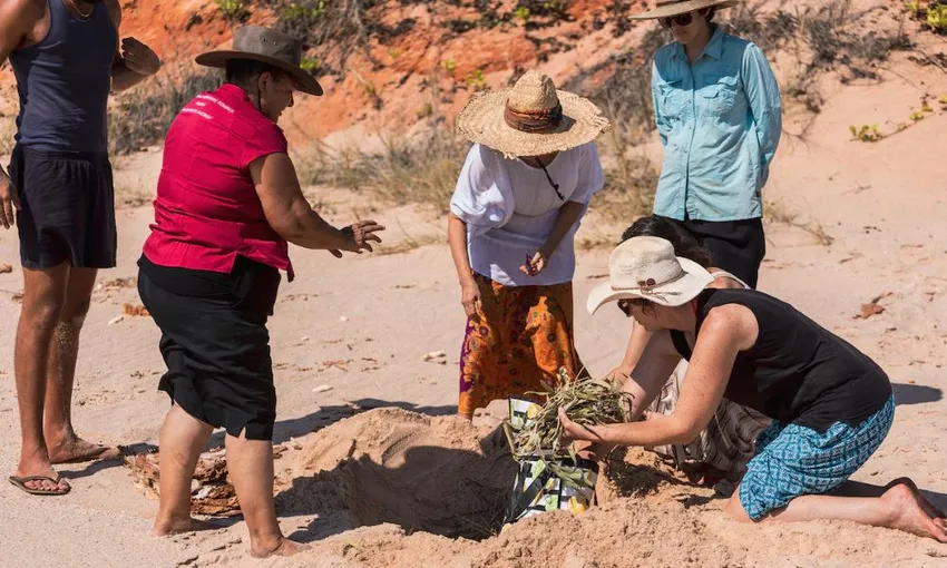 Tag-along 4WD Tour at Quandong Beach | Experience Oz