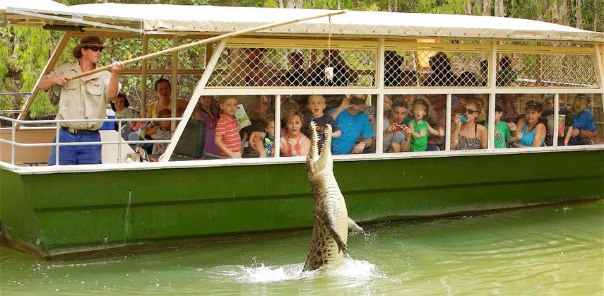 Hartley's Crocodile Adventures Entry & Transfers - Book Now | Experience Oz