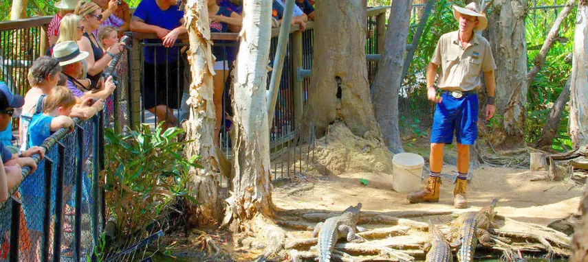Hartley's Crocodile Adventures Entry & Transfers - Book Now | Experience Oz