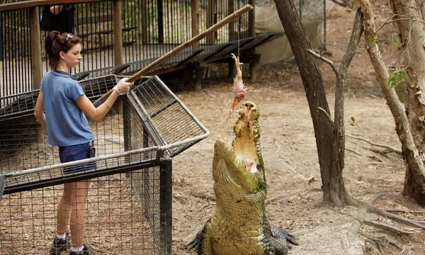 Hartleys Crocodile Adventures with Port Douglas Transfers
