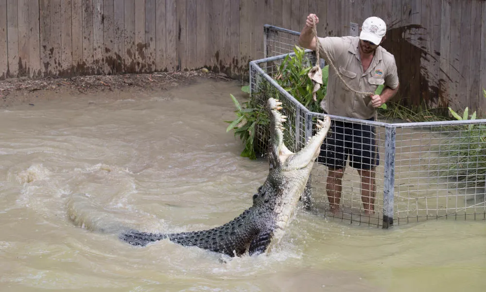 Hartley's Crocodile Adventures Entry & Transfers - Book Now | Experience Oz-1