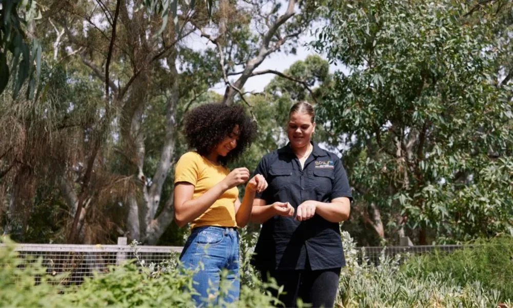 Warriparinga Cultural and Historical Tour-1