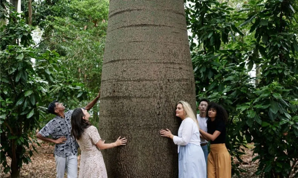 Cultural Tour of Adelaide Botanic Garden-2