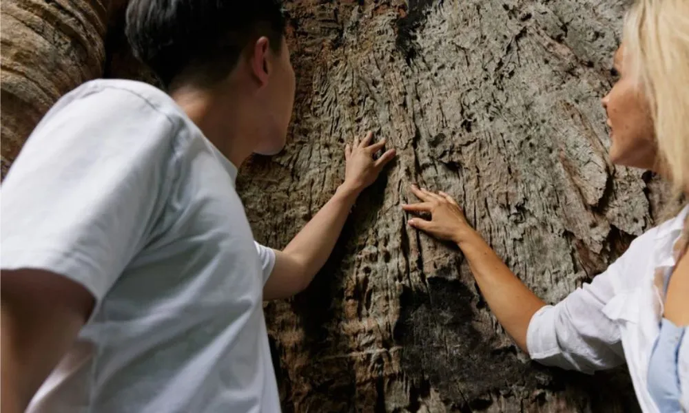 Cultural Tour of Adelaide Botanic Garden-3